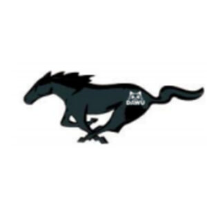 PR3Z-8A244-D Emblem for Ford mustang Parts Ford mustang 2024 2.3 Accessories DFM03047